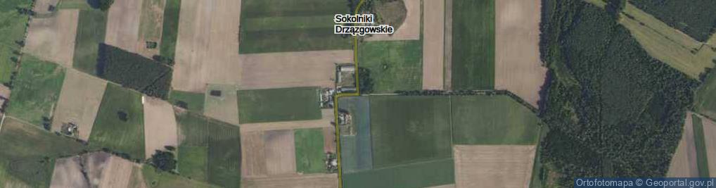 Zdjęcie satelitarne Sokolniki Drzązgowskie ul.